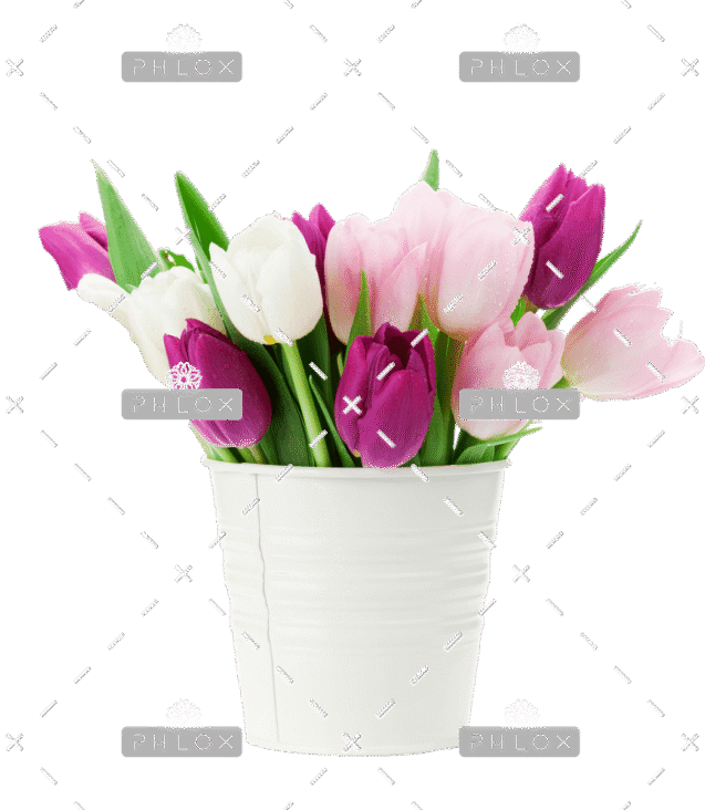 demo-attachment-167-colorful-tulips-bouquet-NFESY4P-copy-1