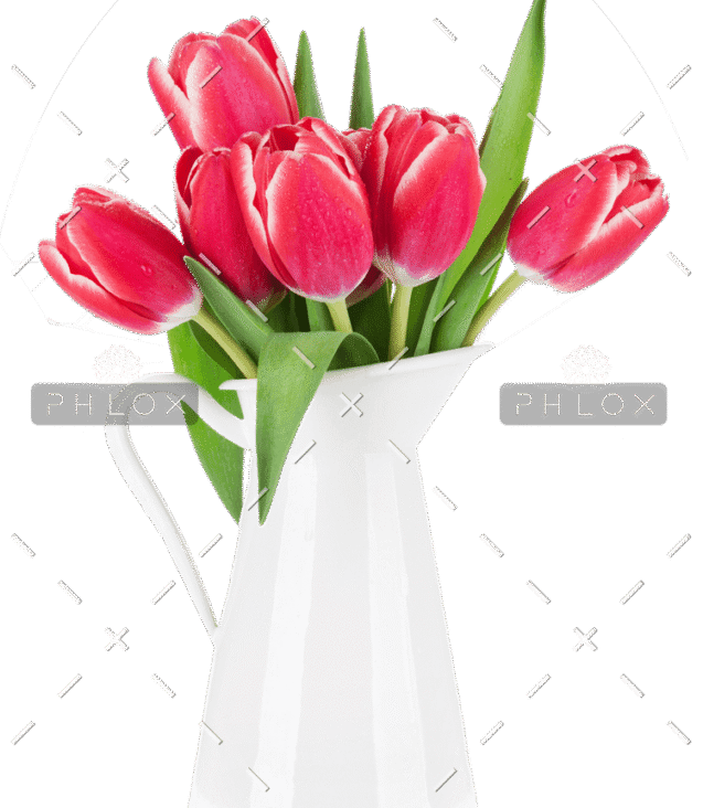 demo-attachment-99-red-tulip-flowers-bouquet-P85CFN2-e1585207182450
